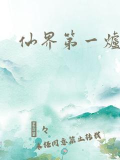 仙界第一炉鼎