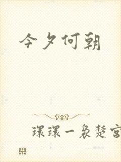 今夕何朝