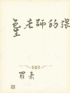 色老师的猥琐人生