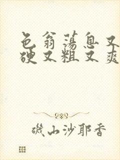 色翁荡息又大又硬又粗又爽电影