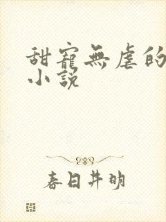 甜宠无虐的军婚小说