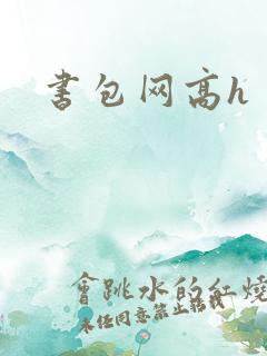 书包网高h