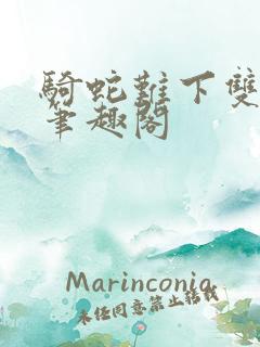 骑蛇难下双金银笔趣阁