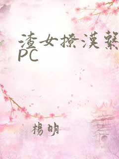渣女撩汉系统NPC