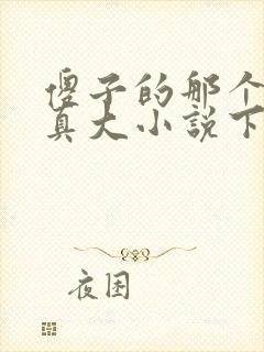 傻子的那个东西真大小说下载