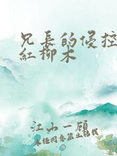 兄长的侵控by红柳木