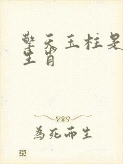 擎天玉柱是什么生肖