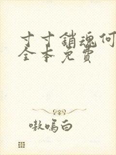 寸寸销魂何生祥全本免费