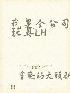 我是全公司发泄玩具LH