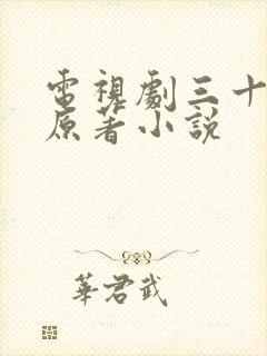 电视剧三十而已原著小说