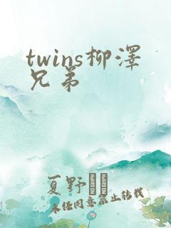 twins柳泽兄弟