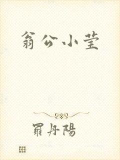 翁公小莹