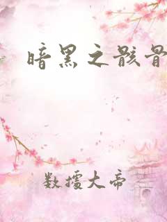 暗黑之骸骨君王