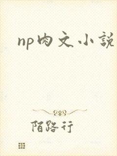np肉文小说