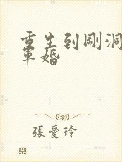 重生到刚洞房的军婚