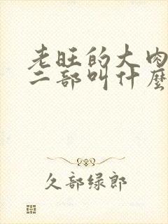 老旺的大肉蟒第二部叫什么小说