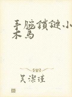 手腕锁链小黑屋木马