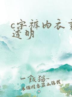 c字裤内衣秀全透明