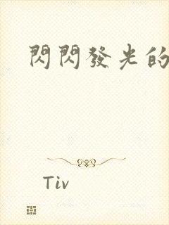 闪闪发光的大人