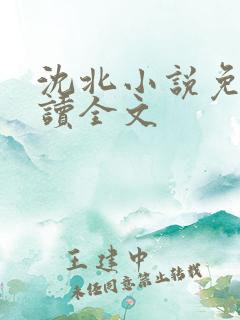 沈北小说免费阅读全文