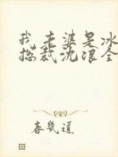 我老婆是冰山女总裁沈浪全集