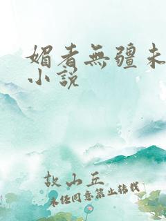 媚者无疆未删减小说