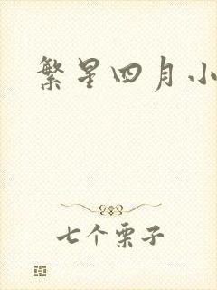 繁星四月小说
