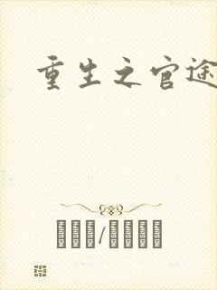 重生之官途辉煌