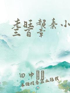 老旺超秦小雨第三百章