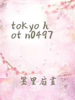 tokyo hot n0497