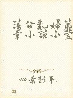荡公乱妇第51章小说小莹