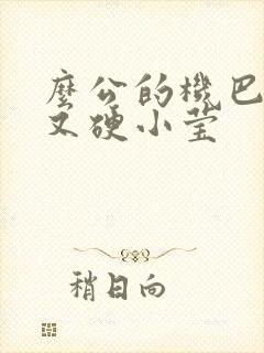 么公的机巴又粗又硬小莹