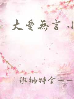 大爱无言 小说