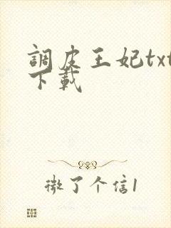 调皮王妃txt下载