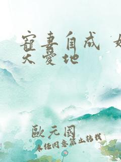 宠妻自成  婚天爱地