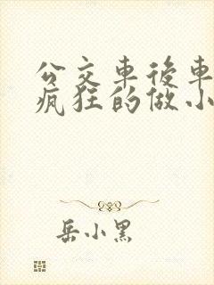 公交车后车座的疯狂的做小