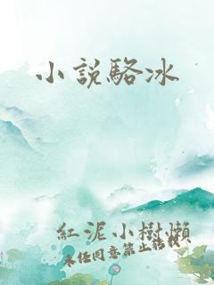 小说骆冰