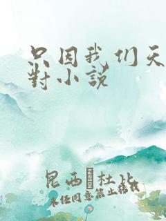 只因我们天生一对小说