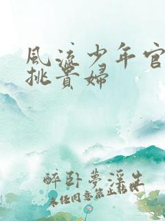 风流少年官途情挑贵妇