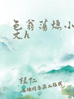 色翁荡熄小说全文h