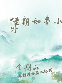 佳期如梦小说番外