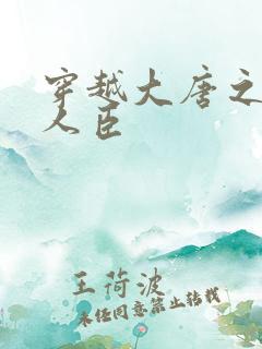 穿越大唐之位极人臣