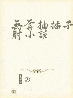 无套抽插子宫内射小说