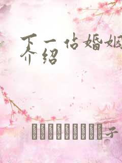 下一站婚姻剧情介绍