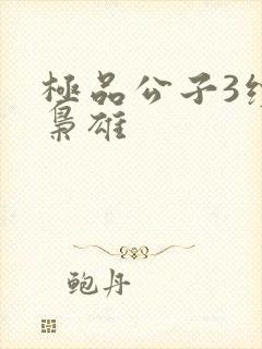 极品公子3续世枭雄