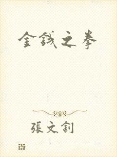 金钱之拳