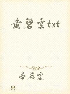 黄碧云txt