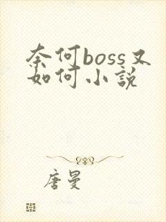 奈何boss又如何小说