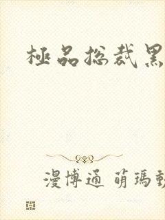 极品总裁黑道妻