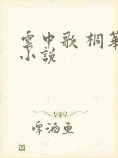 云中歌 桐华 小说